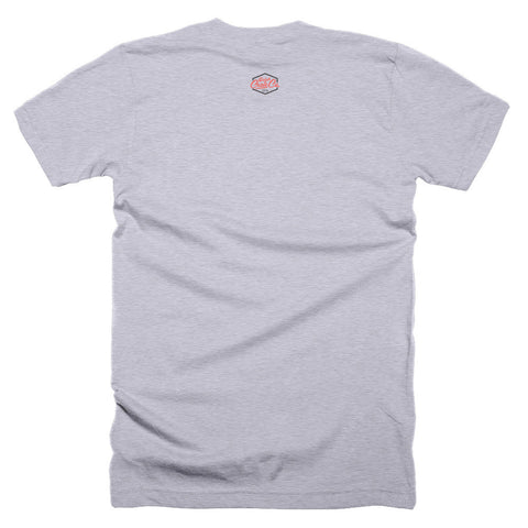 Mt McKinley National Park short sleeve men's t-shirt